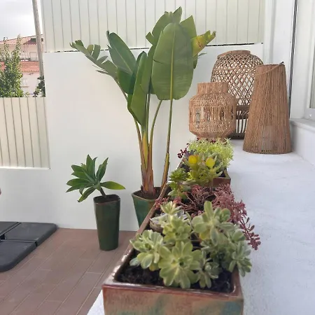 W/ Heated Pool, By Timecooler Villa Cascais